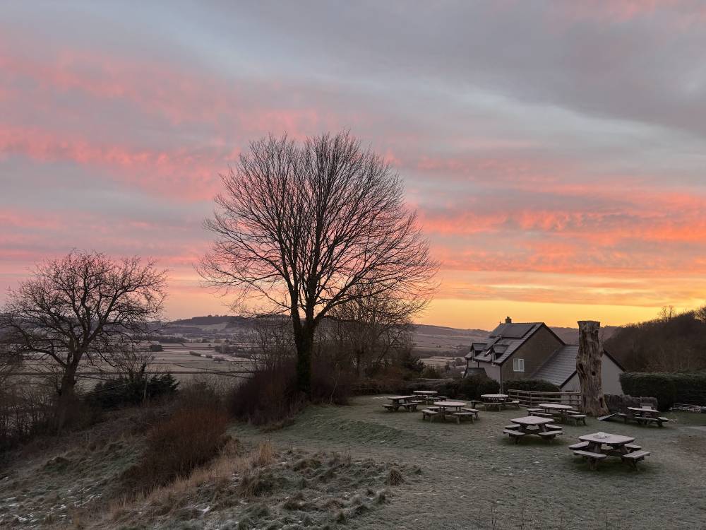 grass, trees and picnic benches with a pink and orang sunset