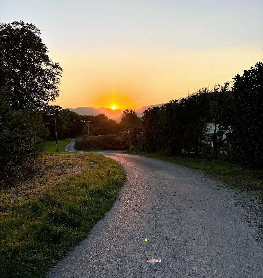 A path stretching out towards an orange sunset in the distance. Trees and hedges on the sides of the path.